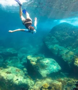 Scuba Diving